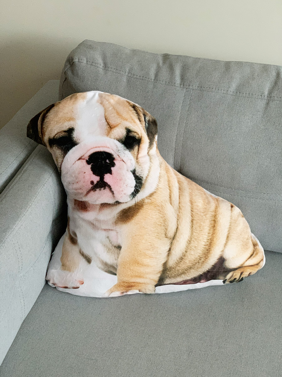 Подушка «Собака» шарпи
