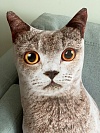 Подушка «Кошка» шартрез