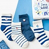 Набор детских носков «Im a boy», 4 пары